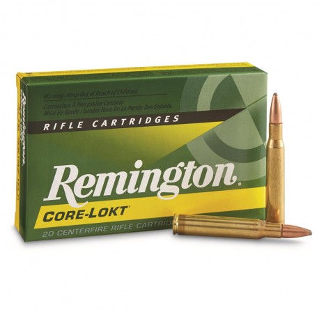 Remington 30-06 Core-Lokt 180 Gr